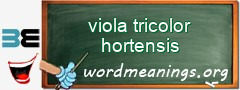 WordMeaning blackboard for viola tricolor hortensis